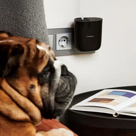 What does ambient perfume mean and how does it differ?